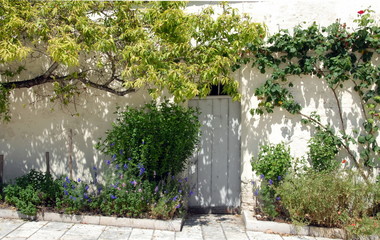 Ville de Saint-Aignan-sur-Cher, arbres et arbustes courent le long d'un mur, porte d'entrée en bois peint, département du Loir et Cher, France