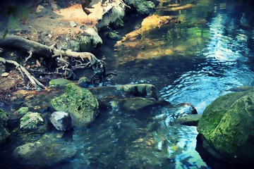 river flowing in the woods and rocks
