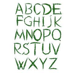 Alphabet. Letter of weed. Vector.