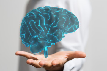 brain