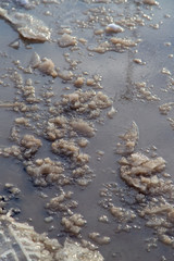 Frozen puddle on the road in winter