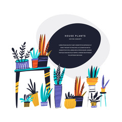 Houseplants hand drawn color vector illustration