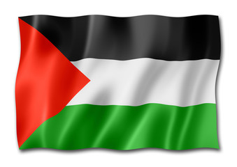 Palestinian flag isolated on white