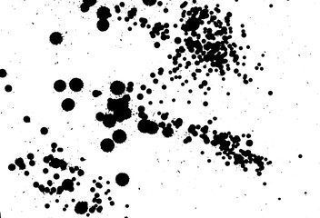 Ink grunge drops texture. Black hand drawn splashes and stains on white background.