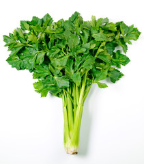 CELERY WITH LEAVES