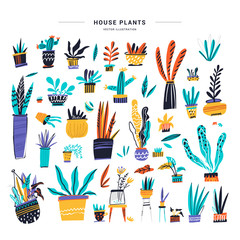 House plants color hand drawn illustrations set
