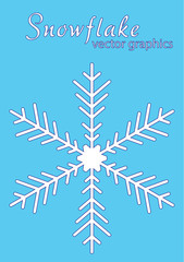 Fototapeta na wymiar Snowflake. Christmas and winter theme. 