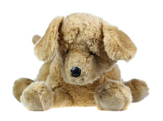 dog doll isolate on white , fluffy toys