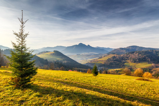 Tree in a foreground of autumn landscape with mountains at sunrise. Mala Fatra National Park, not far from the village of Terchova in Slovakia, Europe.