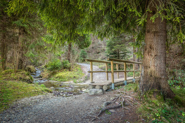 Fototapeta premium A wooden footbridge over a stream in a forest of The Mala Fatra National Park, not far from the village of Terchova in Slovakia, Europe.