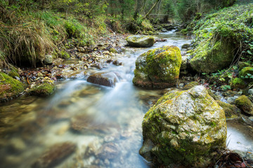 Naklejka na ściany i meble Stream in a forest of The Mala Fatra National Park, not far from the village of Terchova in Slovakia, Europe.
