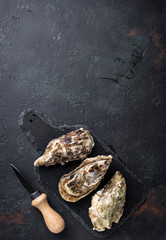 Fresh oysters on dark background © Yulia Furman
