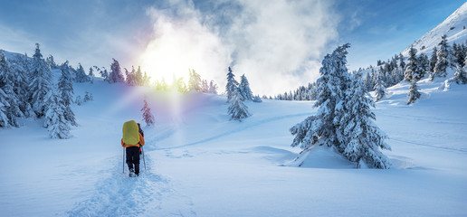 Winter hiking. Tourists are hiking in the snow-covered mountains.