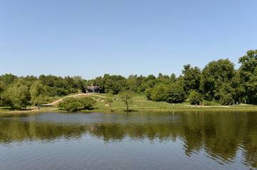 Shibaevsky pond in the natural-historical park "Kuzminki-Lyublino" in Moscow