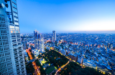Fototapeta na wymiar skyline night view of shinjuku in Tokyo, Japan