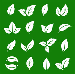 set of abstract natural green leaf icons