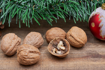 Winter holiday decoration: Blooming Red Poinsettia, Pine, Berry bush, Christmas tree balls, pine cone, walnuts and green garland on wooden background.