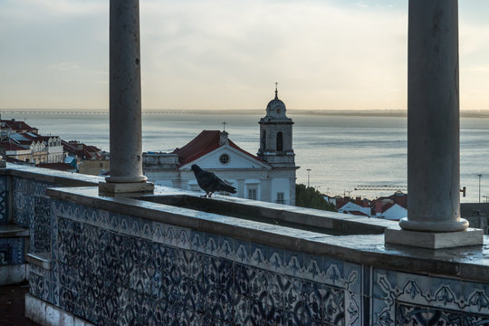 Eglise de Sao Miguel depuis miradouro de Santa Luzia &agrave; Lisbonne , Portugal