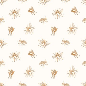 Seamless pattern with honey bees drawn with contour lines on light background. Apiculture or beekeeping backdrop. Monochrome vector illustration in elegant antique style for wrapping paper, wallpaper.