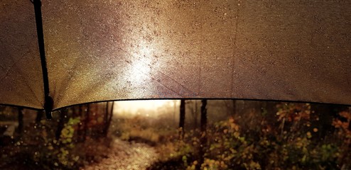 Regenschirm bei Regen