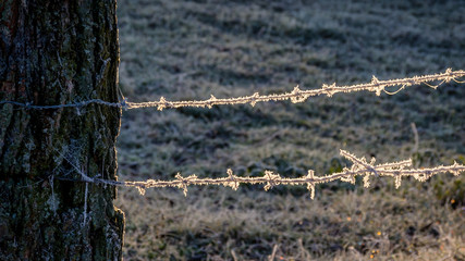 Poranek z mrozem, szronem i mgłami na Podlasiu © podlaski49