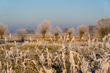 Poranek z mrozem, szronem i mgłami na Podlasiu © podlaski49