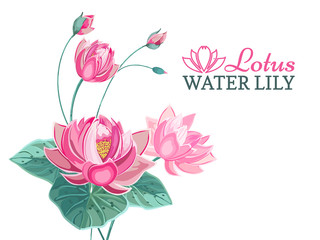 Composition of pink lotus flower with green leaves