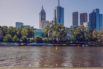 Skyscrapers of Melbourne CBD beyond Yarra river . 4PM, 25 February, 2017