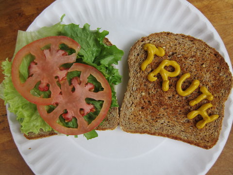 Truth sandwich journalism concept against liars