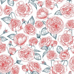 Elegant seamless pattern with blooming Provence roses hand drawn with contour lines on white background. Backdrop with beautiful garden flowers. Natural realistic vector illustration in vintage style.