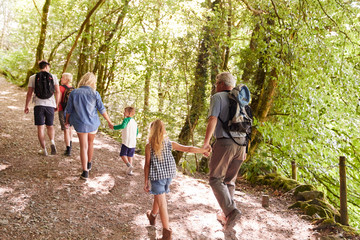 Naklejka na ściany i meble Rear View Of Multi Generation Family Enjoying Walk Along Woodland Path Together