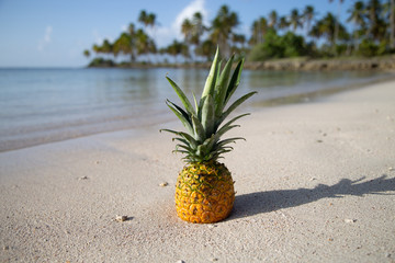 Pineapple on the beach. Beach and tropical theme. Ripe pineapple on the white sand near the sea