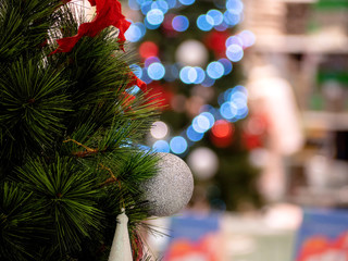 Christmas tree in interior