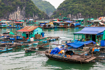Floating fishing village and fishing boats in Cat Ba Island, Vietnam, Southeast Asia. UNESCO World Heritage Site.