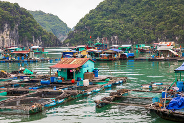 Floating fishing village and fishing boats in Cat Ba Island, Vietnam, Southeast Asia. UNESCO World Heritage Site. © Curioso.Photography