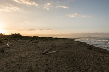 Castiglione della Pescaia Tuscany, Italy - sunrise at the beach
