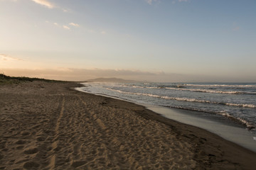 astiglione della Pescaia Tuscany, Italy - sunrise at the beach