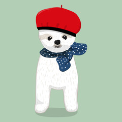 A cute white Havanese puppy posing with pink ribbon