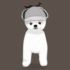 A cute white Havanese puppy posing with pink ribbon