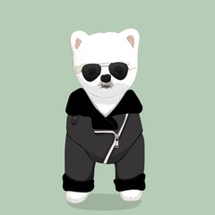 A cute white Havanese puppy posing with pink ribbon