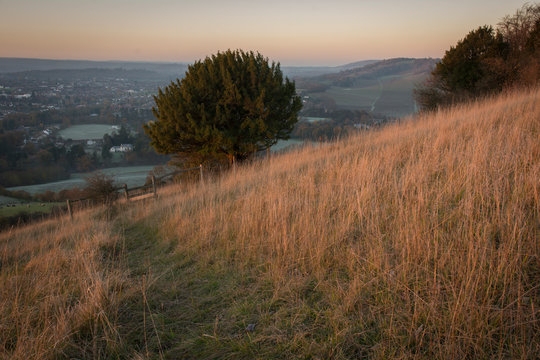 View From Box Hill National Trust, Surrey, UK