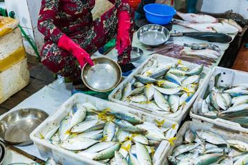 Street Vendor in Cat Ba Island, Vietnam traditional fish market people selling fresh fish on the sidewalk.
