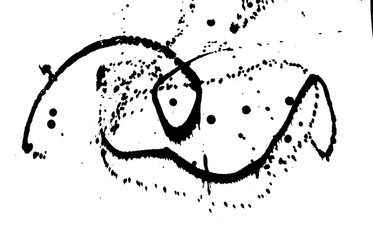 Ink grunge drops texture. Black hand drawn splashes and stains on white background.