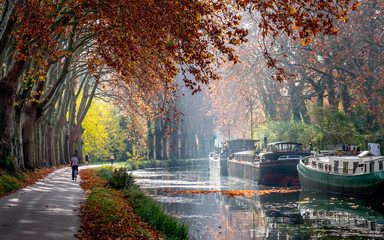 The Canal du Midi near Toulouse in autumn - obrazy, fototapety, plakaty