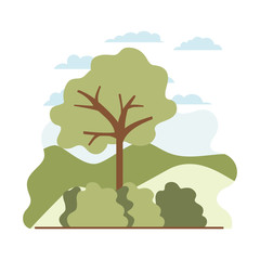 tree plant with landscape isolated icon