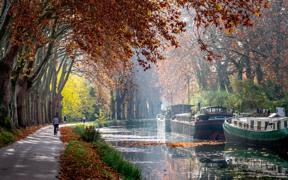 The Canal du Midi near Toulouse in autumn