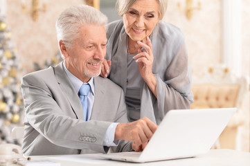 Obraz premium Portrait of senior couple using laptop at home