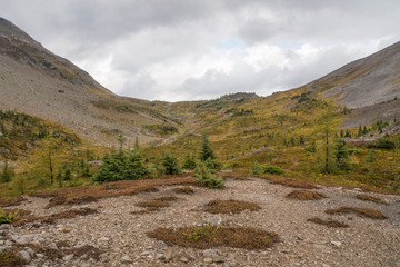 Rocky Mountains after Wild fire
