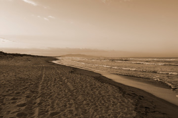 astiglione della Pescaia Tuscany, Italy - sunrise at the beach