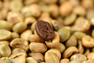 roasted coffee bean on a background of green coffee beans